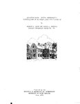 Middleton Place: Initial Archeological Investigations at an Ashley River Rice Plantation by Kenneth E. Lewis and Donald L. Hardesty