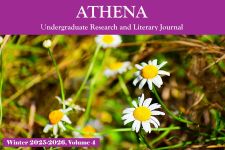 Athena Issue Cover for Winter 2025-2026, Volume 4. Images of daisies in a field.